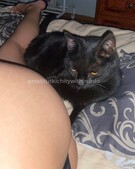 Анкета проститутки Вероника - метро Южное Бутово, возраст - 25